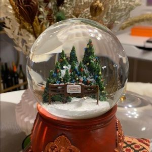 Taylor swift snow globe